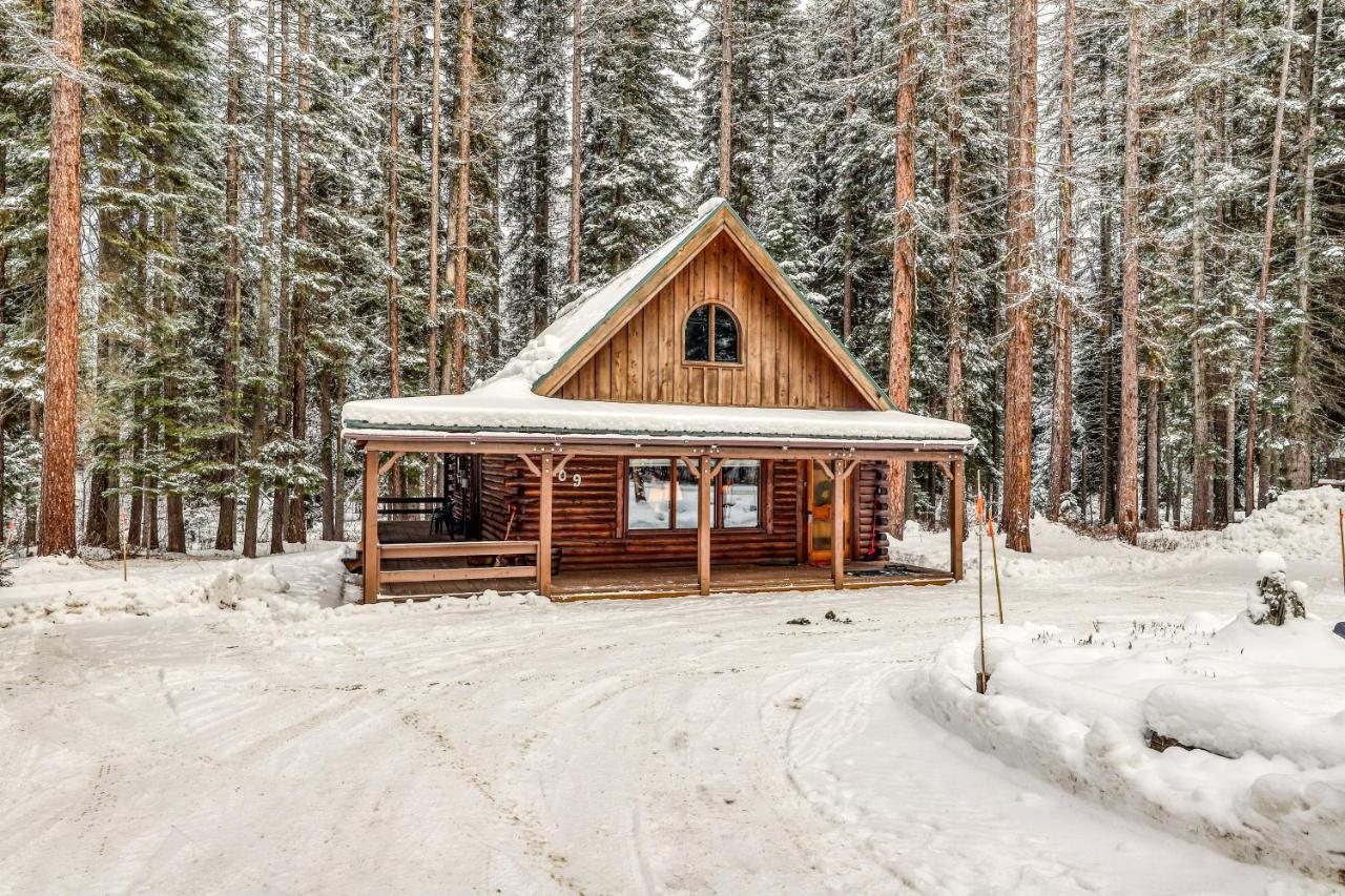 Forest Cabin McCall Kültér fotó